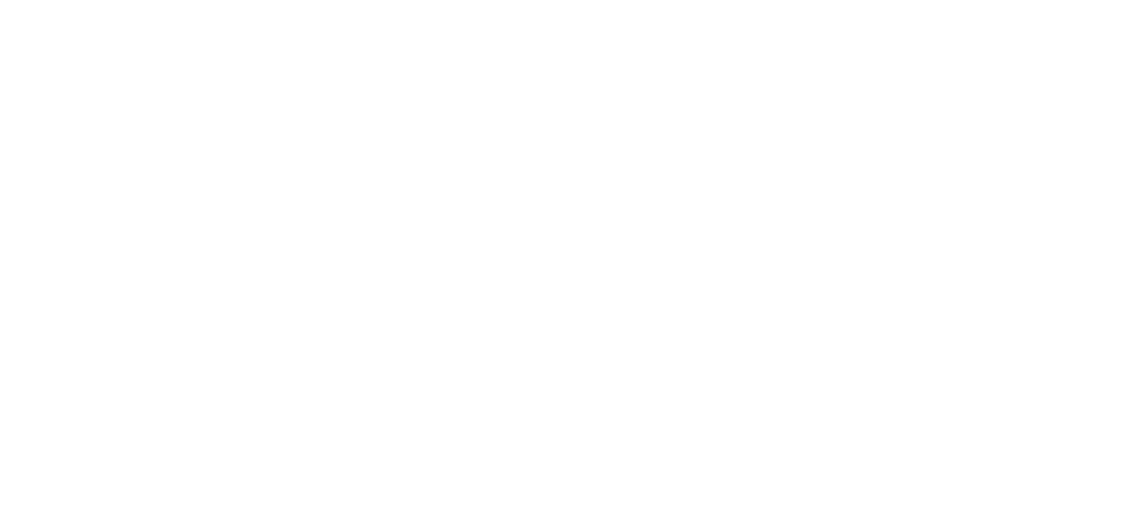 Logo Amivi Plaza